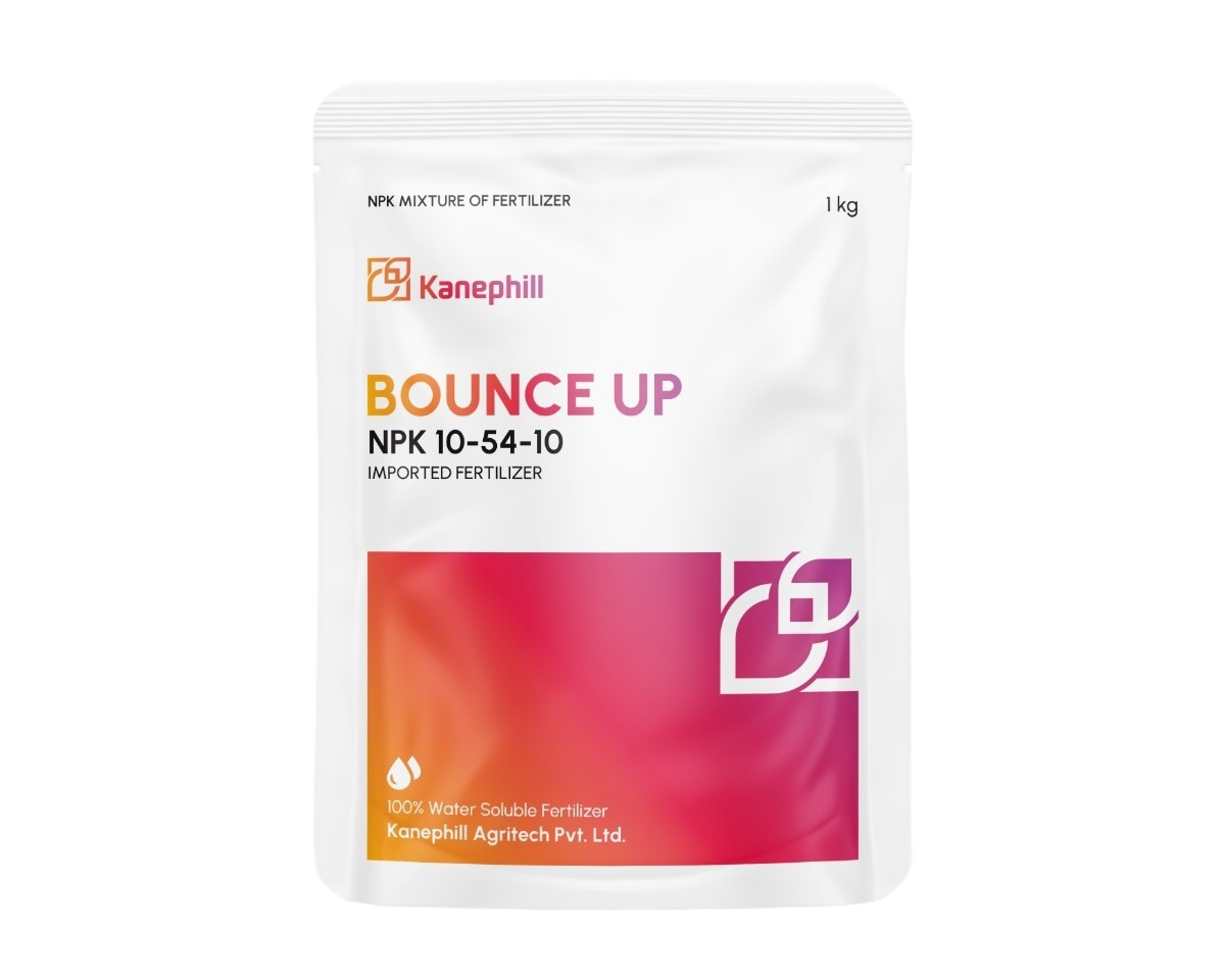 PGR + Fertilizers