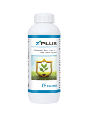 PGR + Fertilizers